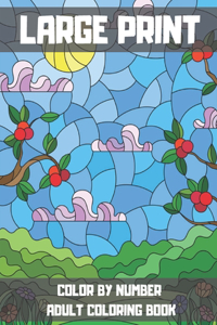 Large Print Color By Number Adult Coloring Book