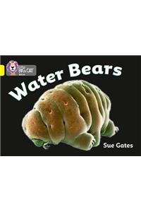 Water Bears