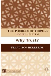 Problem of Forming Social Capital
