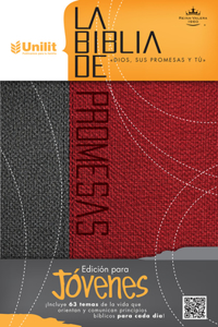 Santa Santa Biblia de Promesas Reina Valera 1960 / Edición de Jovenes / Piel Especial Gris Y Rojo