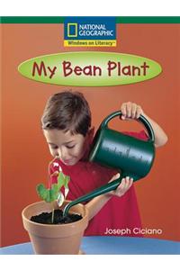 My Bean Plant