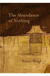 Abundance of Nothing