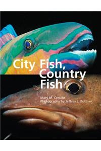 City Fish, Country Fish