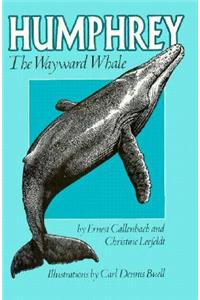 Humphrey the Wayward Whale