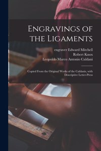 Engravings of the Ligaments