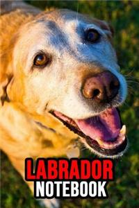 Labrador Notebook