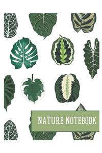 Nature Notebook