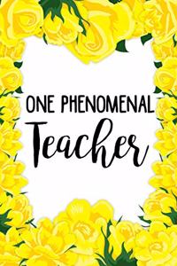 One Phenomenal Teacher