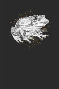 Frog Drawing