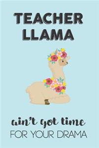 Teacher Llama Aint Got Time For Your Drama