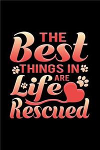 The Best Things In Life Are Rescued