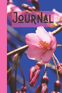 Cherry Blossom Journal