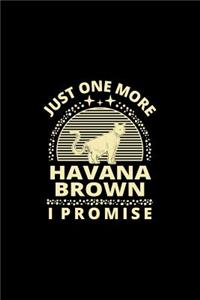 Just One More Havana Brown I Promise