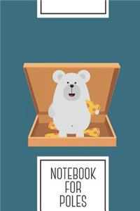 Notebook for Poles