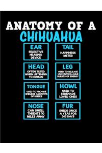 Anatomy of a Chihuahua