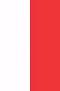 Monaco Flag diary