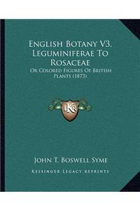 English Botany V3, Leguminiferae To Rosaceae