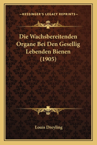 Wachsbereitenden Organe Bei Den Gesellig Lebenden Bienen (1905)