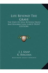 Life Beyond the Grave