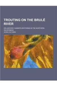 Trouting on the Brule River; Or Lawyers' Summer-Wayfaring in the Northern Wilderness