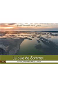 La baie de Somme... vue du ciel 2018