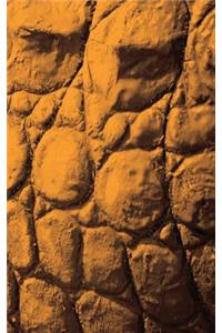 Alive! crocodile skin - Sepia - Photo Art Notebooks (5 x 8 series)