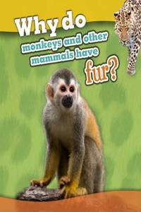 Why do monkeys and other mammals have fur?