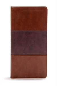 CSB Apologetics Study Bible, Mahogany Leathertouch