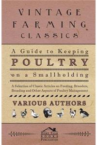 A Guide to Keeping Poultry on a Smallholding - A Selection of Classic Articles on Feeding, Brooders, Breeding and Other Aspects of Poultry Managemen