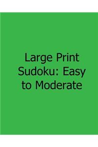 Large Print Sudoku