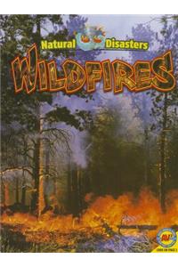 Wildfires