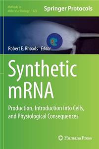 Synthetic Mrna