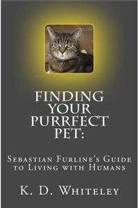 Finding your Purrfect Pet