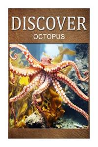 Octopus - Discover