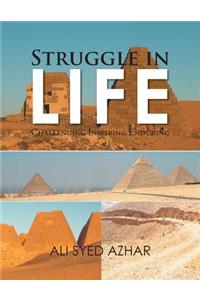 Struggle in Life