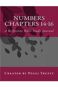 Numbers, Chapters 14-16
