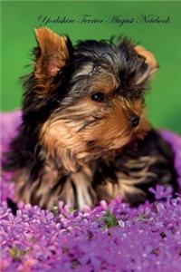 Yorkshire Terrier August Notebook Yorkshire Terrier Record, Log, Diary, Special Memories, To Do List, Academic Notepad, Scrapbook & More