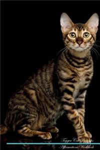 Toyger Cat Affirmations Workbook Toyger Cat Presents: Positive and Loving Affirmations Workbook. Includes: Mentoring Questions, Guidance, Supporting You.