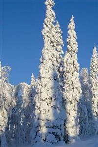 Snow Covered Trees in Lapland Finland Journal