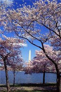 A View of the Washington Monument Through the Cherry Blossoms Journal