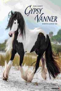 Gypsy Vanner Horse 2023 Wall Calendar