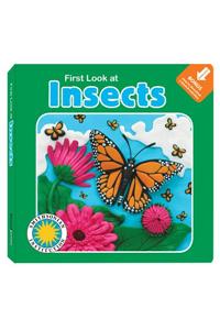 First Look at Insects