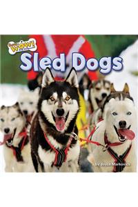 Sled Dogs
