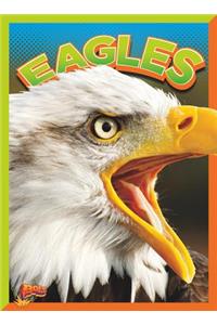 Eagles