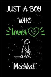 Just A Boy Who Loves Meerkat