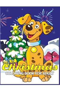 Christmas Coloring Book for Adult