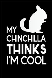 Chinchilla Thinks I´M Cool