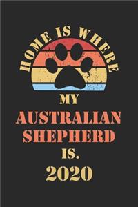 Australian Shepherd 2020