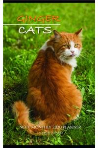 Ginger Cats Note Monthly 2020 Planner 12 Month Calendar