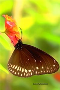 Butterfly Notebook